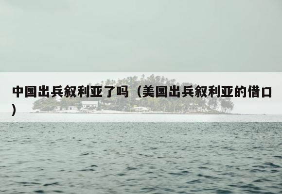 中国出兵叙利亚了吗（美国出兵叙利亚的借口） 第1张