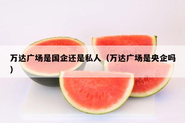万达广场是国企还是私人（万达广场是央企吗） 第1张