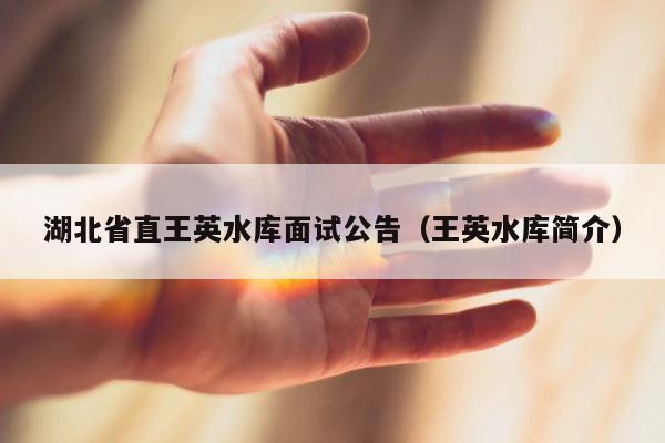 湖北省直王英水库面试公告（王英水库简介） 第1张