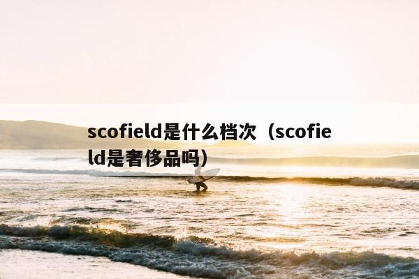 scofield是什么档次（scofield是奢侈品吗） 第1张