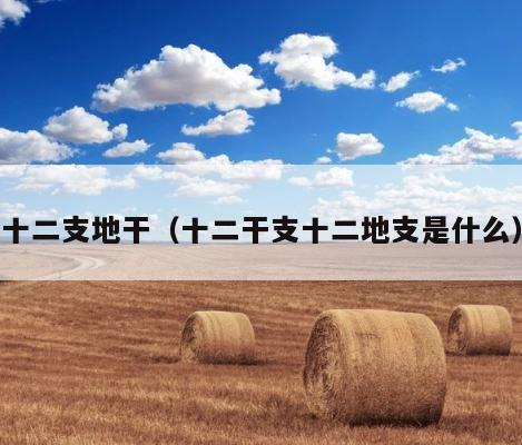 十二支地干（十二干支十二地支是什么） 第1张