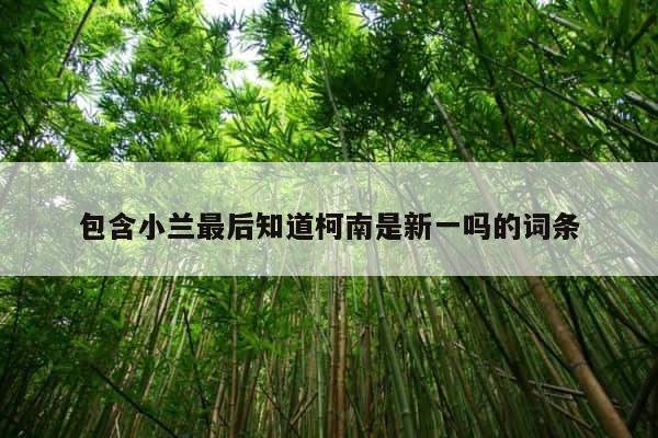 包含小兰最后知道柯南是新一吗的词条 第1张