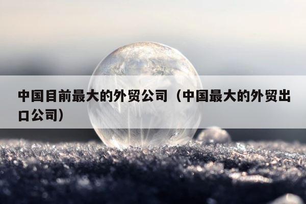 中国目前最大的外贸公司（中国最大的外贸出口公司） 第1张
