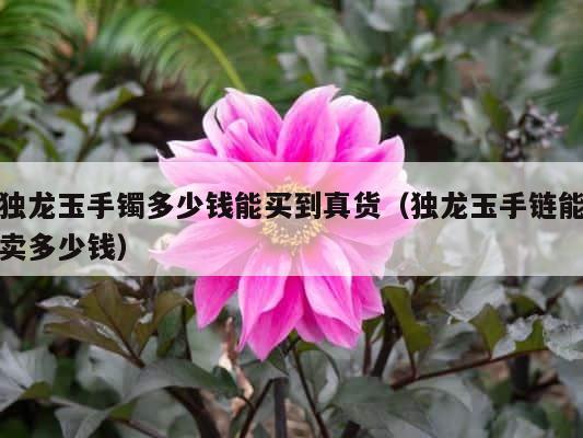 独龙玉手镯多少钱能买到真货（独龙玉手链能卖多少钱） 第1张