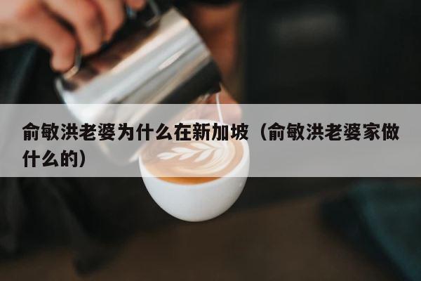 俞敏洪老婆为什么在新加坡（俞敏洪老婆家做什么的） 第1张