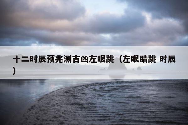 十二时辰预兆测吉凶左眼跳（左眼睛跳 时辰） 第1张