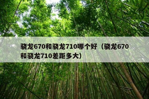 骁龙670和骁龙710哪个好（骁龙670和骁龙710差距多大） 第1张