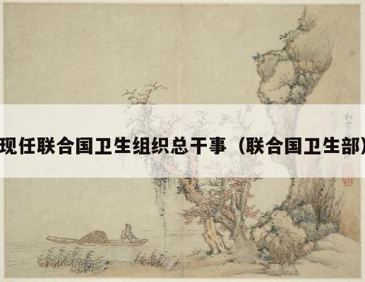 现任联合国卫生组织总干事（联合国卫生部） 第1张