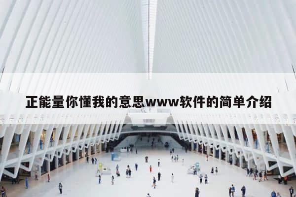 正能量你懂我的意思www软件的简单介绍 第1张