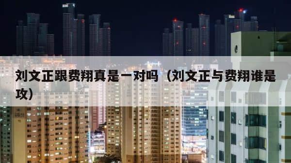 刘文正跟费翔真是一对吗（刘文正与费翔谁是攻） 第1张