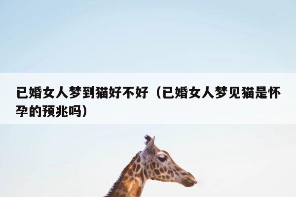 已婚女人梦到猫好不好（已婚女人梦见猫是怀孕的预兆吗） 第1张