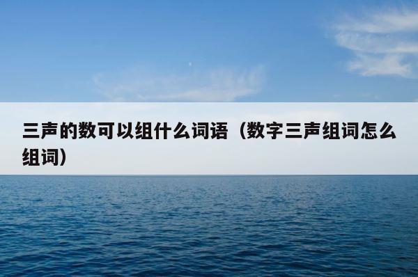 三声的数可以组什么词语（数字三声组词怎么组词） 第1张
