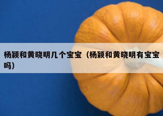 杨颖和黄晓明几个宝宝（杨颖和黄晓明有宝宝吗） 第1张