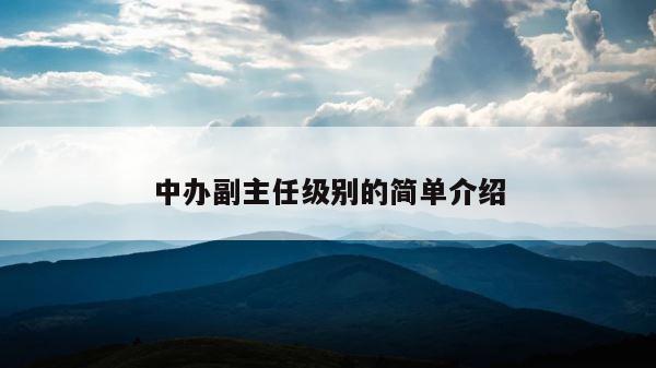 中办副主任级别的简单介绍 第1张