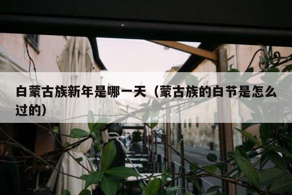 白蒙古族新年是哪一天（蒙古族的白节是怎么过的） 第1张