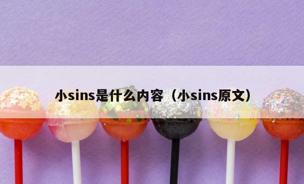 小sins是什么内容（小sins原文） 第1张