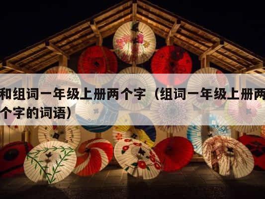 和组词一年级上册两个字（组词一年级上册两个字的词语） 第1张