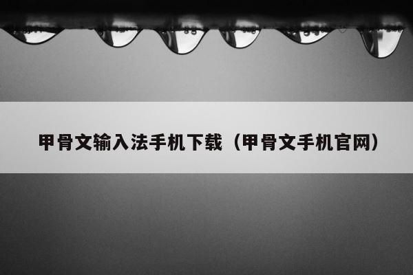 甲骨文输入法手机下载（甲骨文手机官网） 第1张