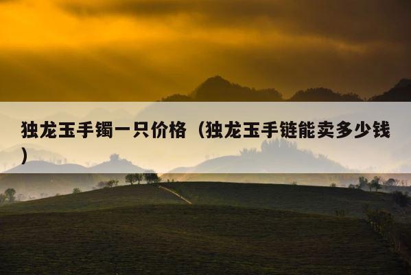 独龙玉手镯一只价格（独龙玉手链能卖多少钱） 第1张