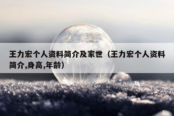 王力宏个人资料简介及家世（王力宏个人资料简介,身高,年龄） 第1张