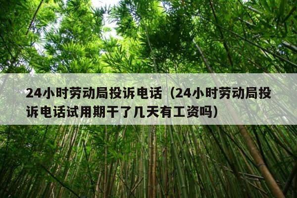 24小时劳动局投诉电话（24小时劳动局投诉电话试用期干了几天有工资吗） 第1张