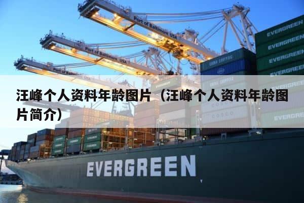 汪峰个人资料年龄图片（汪峰个人资料年龄图片简介） 第1张