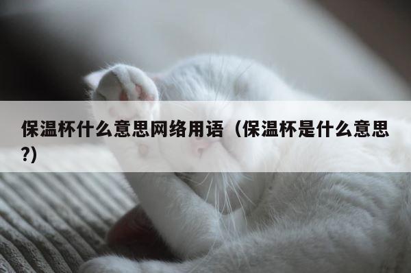 保温杯什么意思网络用语（保温杯是什么意思?） 第1张