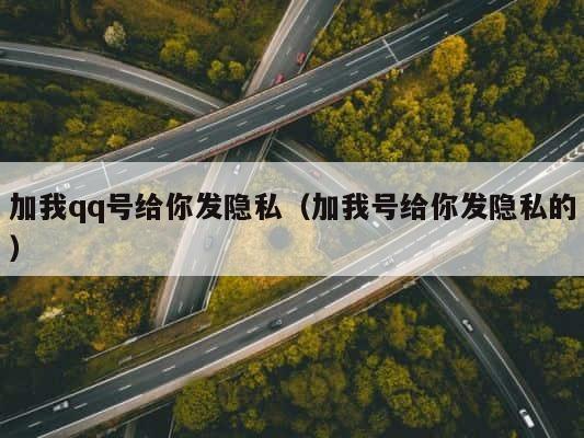 加我qq号给你发隐私（加我号给你发隐私的） 第1张