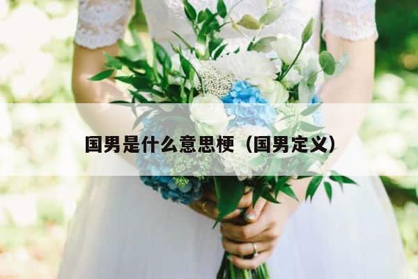 国男是什么意思梗（国男定义） 第1张