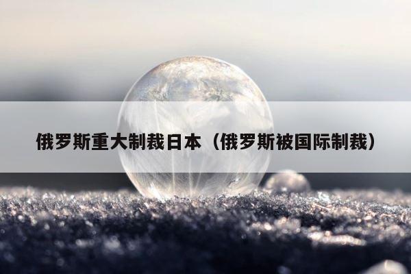 俄罗斯重大制裁日本（俄罗斯被国际制裁） 第1张