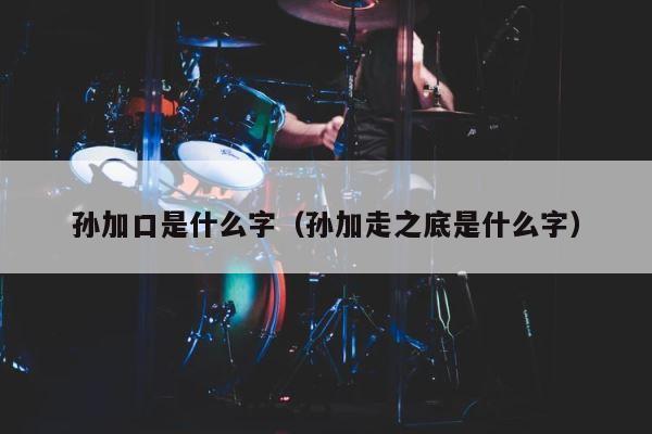 孙加口是什么字（孙加走之底是什么字） 第1张