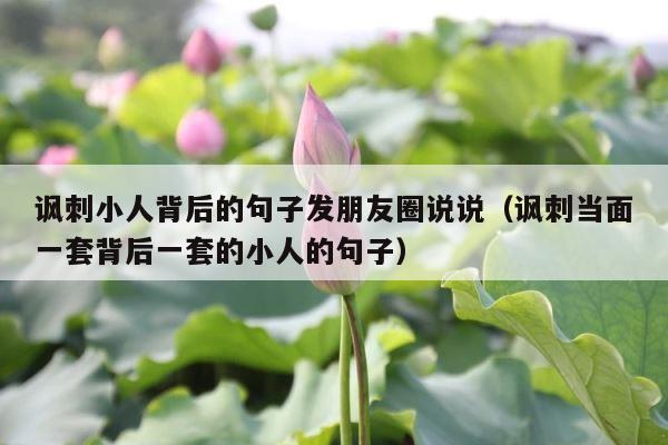 讽刺小人背后的句子发朋友圈说说（讽刺当面一套背后一套的小人的句子） 第1张