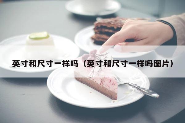 英寸和尺寸一样吗（英寸和尺寸一样吗图片） 第1张