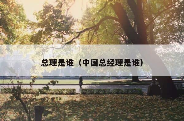 总理是谁（中国总经理是谁） 第1张
