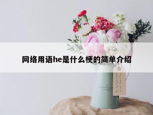 网络用语he是什么梗的简单介绍 第1张
