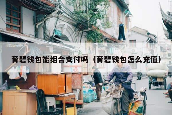 育碧钱包能组合支付吗（育碧钱包怎么充值） 第1张