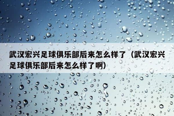 武汉宏兴足球俱乐部后来怎么样了（武汉宏兴足球俱乐部后来怎么样了啊） 第1张
