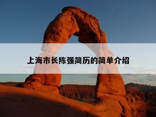 上海市长陈强简历的简单介绍 第1张
