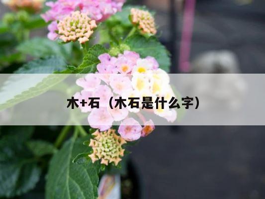 木+石（木石是什么字） 第1张