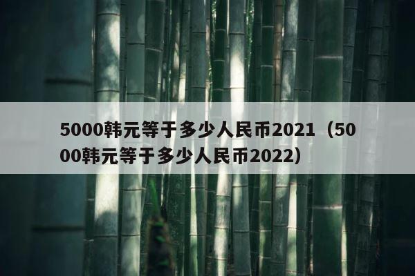 5000韩元等于多少人民币2021（5000韩元等于多少人民币2022） 第1张