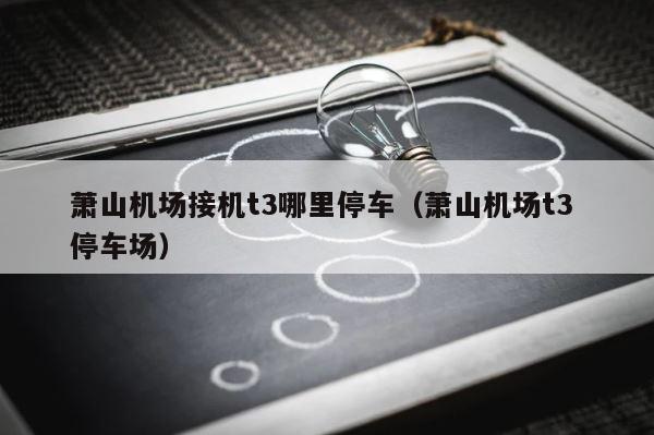 萧山机场接机t3哪里停车（萧山机场t3 停车场） 第1张