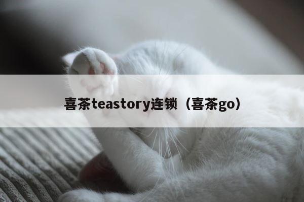 喜茶teastory连锁（喜茶go） 第1张
