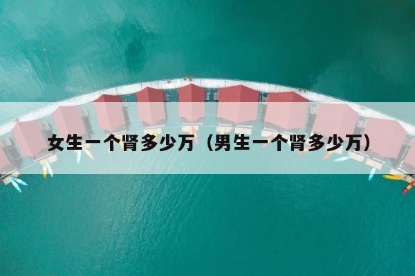 女生一个肾多少万（男生一个肾多少万） 第1张