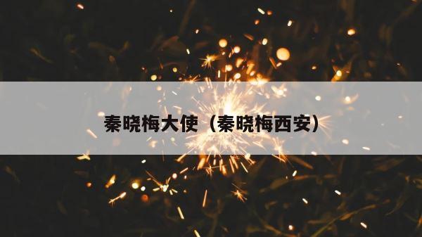秦晓梅大使（秦晓梅西安） 第1张