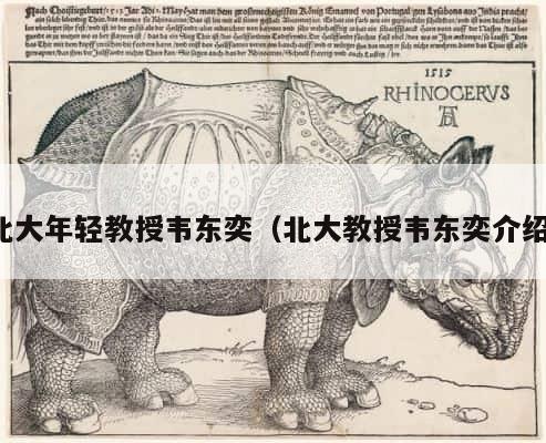 北大年轻教授韦东奕（北大教授韦东奕介绍） 第1张