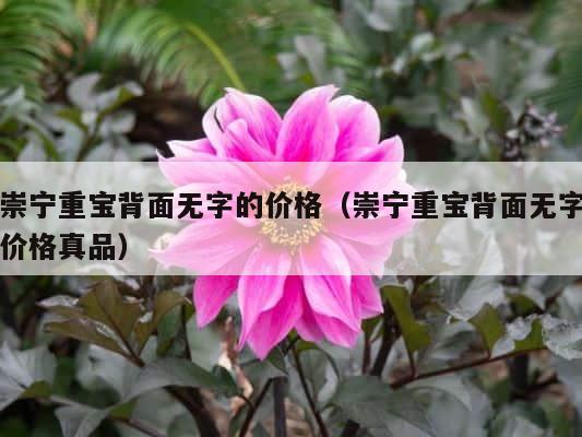 崇宁重宝背面无字的价格（崇宁重宝背面无字价格真品） 第1张