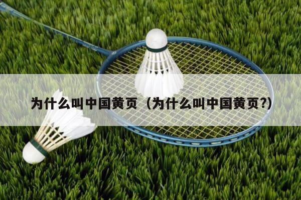 为什么叫中国黄页（为什么叫中国黄页?） 第1张