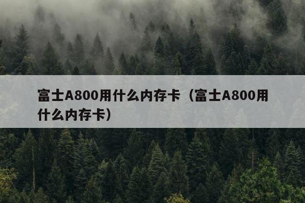 富士A800用什么内存卡（富士A800用什么内存卡） 第1张