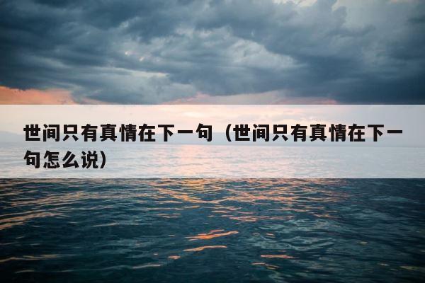 世间只有真情在下一句（世间只有真情在下一句怎么说） 第1张