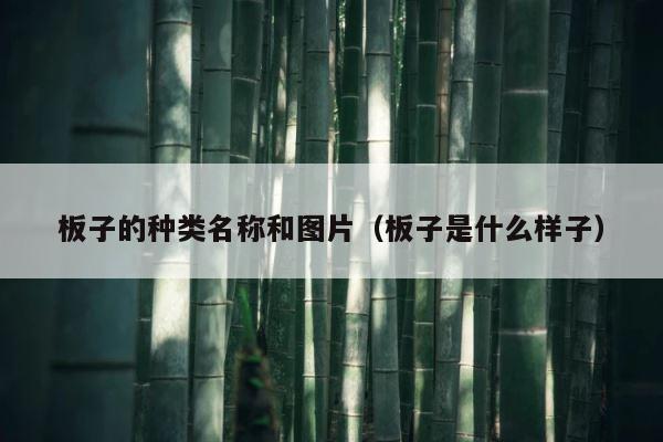 板子的种类名称和图片（板子是什么样子） 第1张